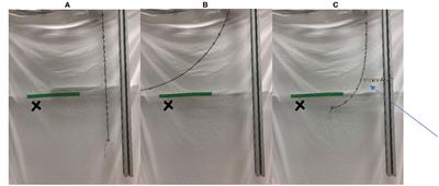 Searching and Intertwining: Climbing Plants and GrowBots